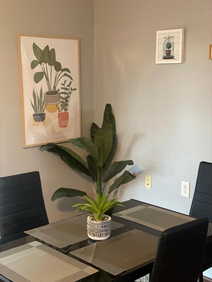 Cute 2-Brm Walkout Apt With Pool Table And Theater Apartment Лексингтън Екстериор снимка